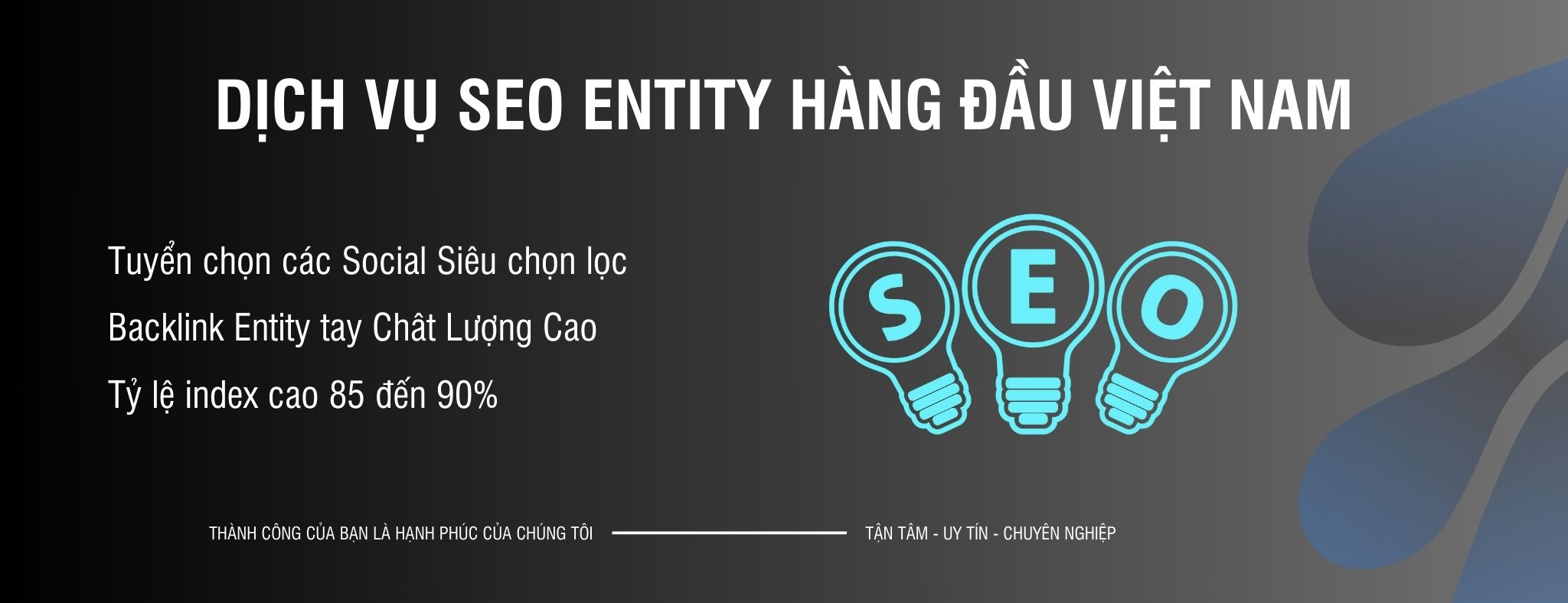 Dịch vụ Entity Uy tín chuyên nghiệp hàng đầu Việt Nam
